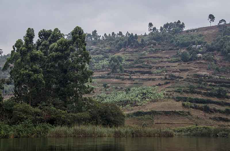 51 - Uganda - lago Bunyonyi - paisaje